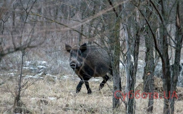 Запорожский фотограф показал новую подборку завораживающих фото Фото № 12 Запорожский фотограф показал новую подборку завораживающих фото Фото № 12