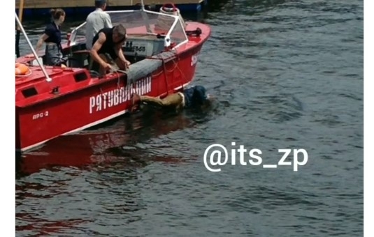 В Запорожье на Набережной из Днепра достали труп человека (ВИДЕО 18+) Фото № 0 В Запорожье на Набережной из Днепра достали труп человека (ВИДЕО 18+) Фото № 0