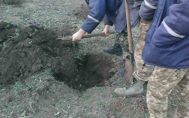В Запорожской области найден колоссальный оружейный арсенал Фото № 1 В Запорожской области найден колоссальный оружейный арсенал Фото № 1