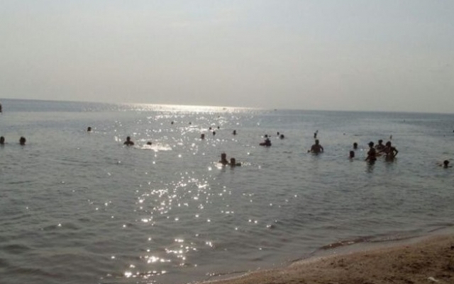 Азовское море почернело (ВИДЕО) Фото № 0 Азовское море почернело (ВИДЕО) Фото № 0