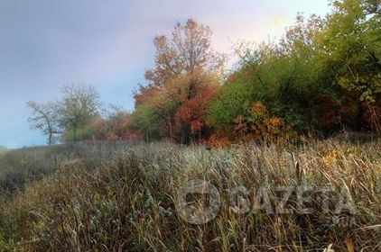 Запорожская осень продолжает поражать своими красками (ФОТО) Фото № 4 Запорожская осень продолжает поражать своими красками (ФОТО) Фото № 4