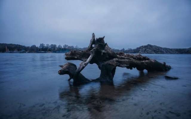 Запорожский фотограф показал загадочные снимки Хортицы Фото № 1 Запорожский фотограф показал загадочные снимки Хортицы Фото № 1