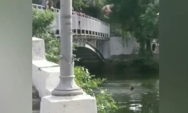 В Дубовке подростки прыгали с моста в водоем (ФОТО) Фото № 1 В Дубовке подростки прыгали с моста в водоем (ФОТО) Фото № 1