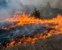 В Запорожской области сгорела могила бойца АТО Фото № 0 В Запорожской области сгорела могила бойца АТО Фото № 0