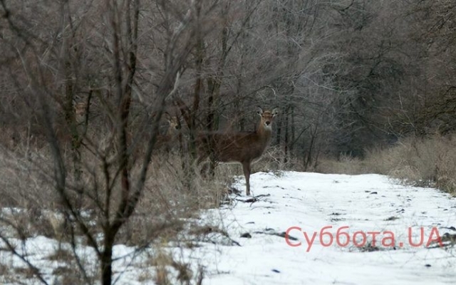 Запорожский фотограф показал новую подборку завораживающих фото Фото № 1 Запорожский фотограф показал новую подборку завораживающих фото Фото № 1