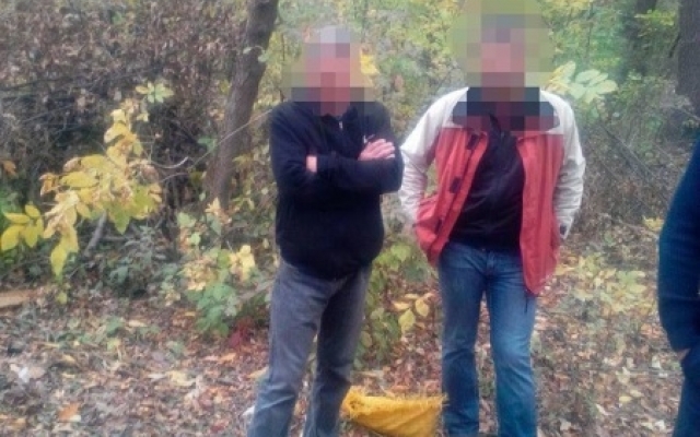 Заготовка дров на зиму закончилась отделением полиции Фото № 0 Заготовка дров на зиму закончилась отделением полиции Фото № 0