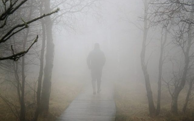 Жителей Запорожской области предупреждают об опасности Фото № 0 Жителей Запорожской области предупреждают об опасности Фото № 0