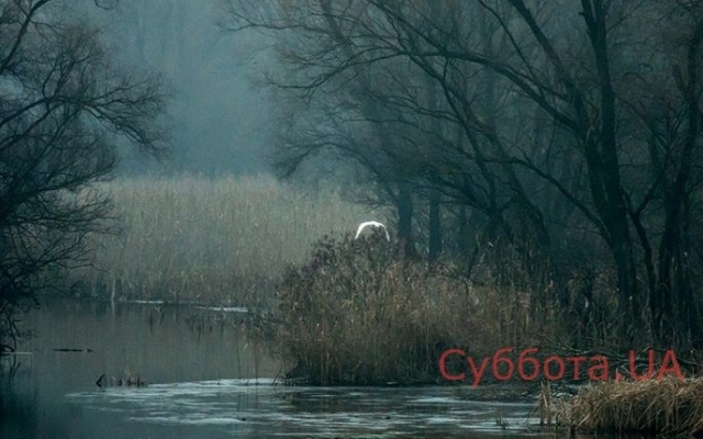 Запорожский фотограф показал новую подборку завораживающих фото Фото № 8 Запорожский фотограф показал новую подборку завораживающих фото Фото № 8