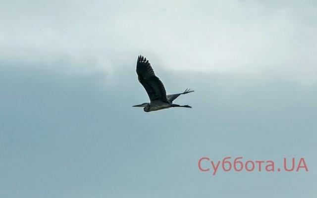 Запорожский фотограф опубликовал подборку удивительных снимков Фото № 2 Запорожский фотограф опубликовал подборку удивительных снимков Фото № 2