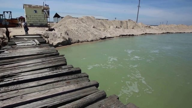 Молочный лиман превращается в болото (ВИДЕО) Фото № 0 Молочный лиман превращается в болото (ВИДЕО) Фото № 0