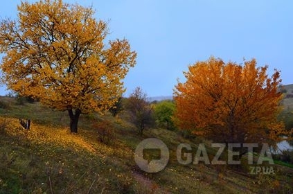 Запорожская осень продолжает поражать своими красками (ФОТО) Фото № 1 Запорожская осень продолжает поражать своими красками (ФОТО) Фото № 1