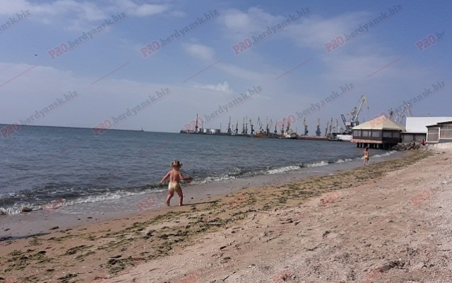 Смотрите: Бархатный сезон в Бердянске в фотографиях Фото № 8 Смотрите: Бархатный сезон в Бердянске в фотографиях Фото № 8