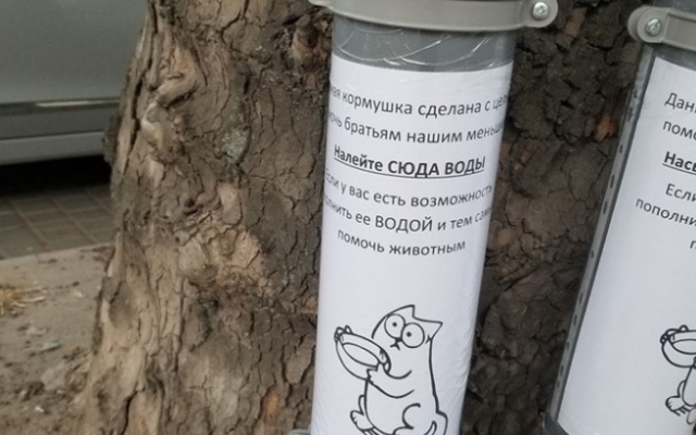 В Запорожской области начали устанавливать кормушки для бездомных животных (ФОТО) Фото № 0 В Запорожской области начали устанавливать кормушки для бездомных животных (ФОТО) Фото № 0