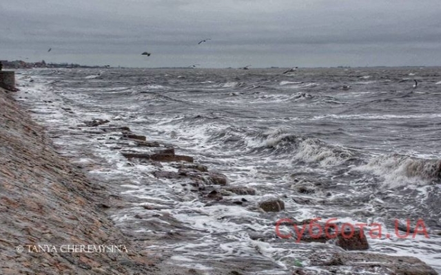 В сети поделились снимками суровой красоты морского побережья зимой Фото № 0 В сети поделились снимками суровой красоты морского побережья зимой Фото № 0