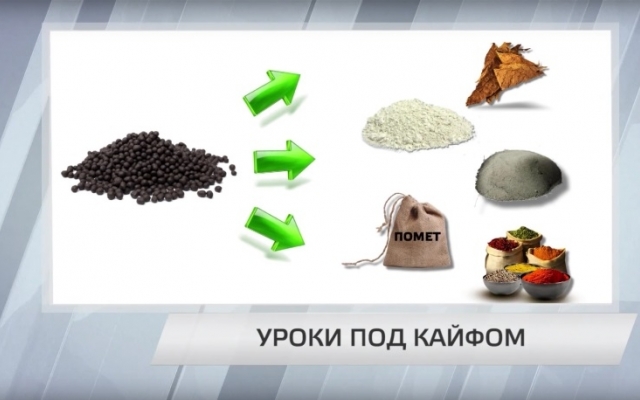 В одной из школ Запорожья дети на переменах употребляют наркотики Фото № 0 В одной из школ Запорожья дети на переменах употребляют наркотики Фото № 0
