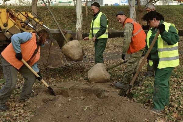 «Дубовий гай» озеленят полтысячи деревьев и кустарников Фото № 10 «Дубовий гай» озеленят полтысячи деревьев и кустарников Фото № 10