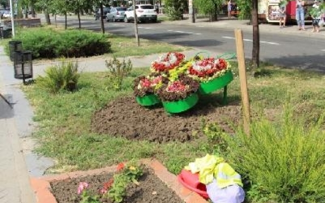Запорожцы восхищаются цветочным преображением города (ФОТО) Фото № 2 Запорожцы восхищаются цветочным преображением города (ФОТО) Фото № 2