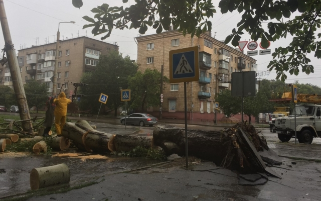 В Запорожье из-за непогоды повалило десятки деревьев (ФОТОРЕПОРТАЖ) Фото № 6 В Запорожье из-за непогоды повалило десятки деревьев (ФОТОРЕПОРТАЖ) Фото № 6