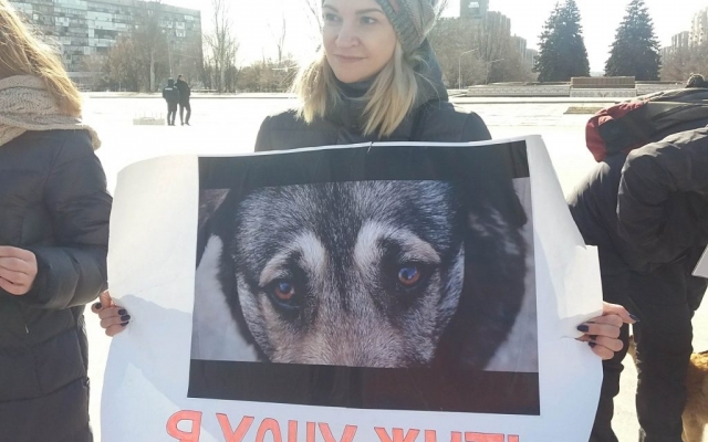 В Запорожье состоялась В Запорожье состоялась