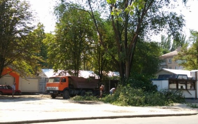 В скандальном сквере Запорожья уничтожают деревья (ФОТО) Фото № 8 В скандальном сквере Запорожья уничтожают деревья (ФОТО) Фото № 8