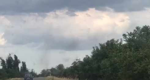 В Запорожской области на видео сняли В Запорожской области на видео сняли
