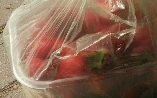 Курьезы: Запорожец заплатил за клубнику сувенирной купюрой Фото № 0 Курьезы: Запорожец заплатил за клубнику сувенирной купюрой Фото № 0