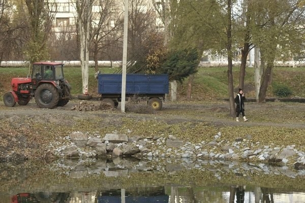 «Дубовий гай» озеленят полтысячи деревьев и кустарников Фото № 1 «Дубовий гай» озеленят полтысячи деревьев и кустарников Фото № 1