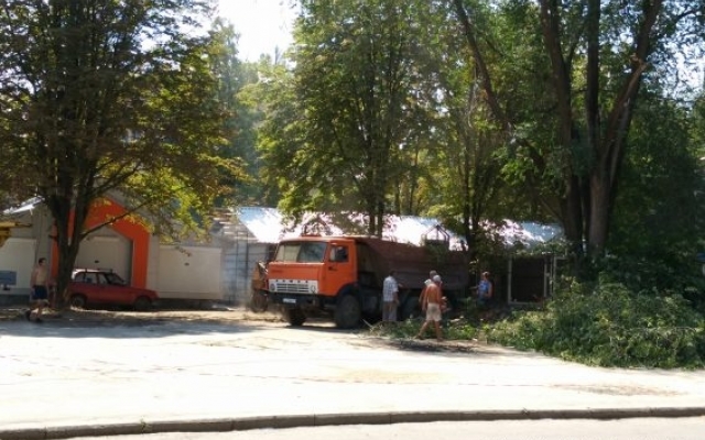 В скандальном сквере Запорожья уничтожают деревья (ФОТО) Фото № 2 В скандальном сквере Запорожья уничтожают деревья (ФОТО) Фото № 2
