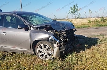 Утро началось со смертельного ДТП под Запорожьем (ФОТО) Фото № 1 Утро началось со смертельного ДТП под Запорожьем (ФОТО) Фото № 1