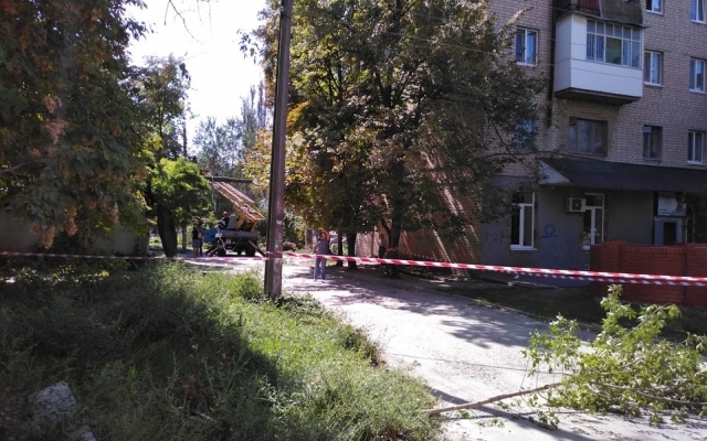 В Запорожской области обрезка деревьев чуть не кончилась трагедией (ФОТО, ВИДЕО) Фото № 2 В Запорожской области обрезка деревьев чуть не кончилась трагедией (ФОТО, ВИДЕО) Фото № 2
