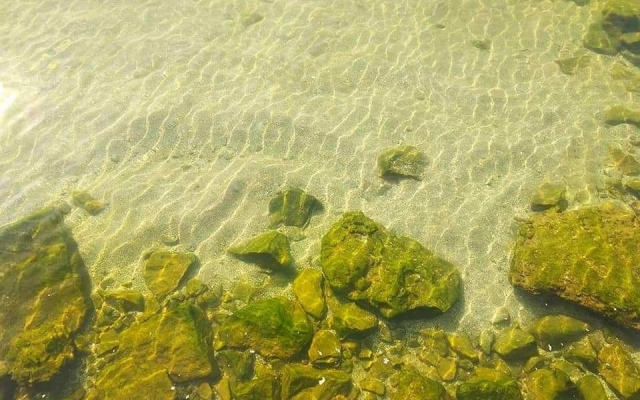В сети делятся фотоснимками Азовского моря и огромных медуз (ФОТО) Фото № 2 В сети делятся фотоснимками Азовского моря и огромных медуз (ФОТО) Фото № 2