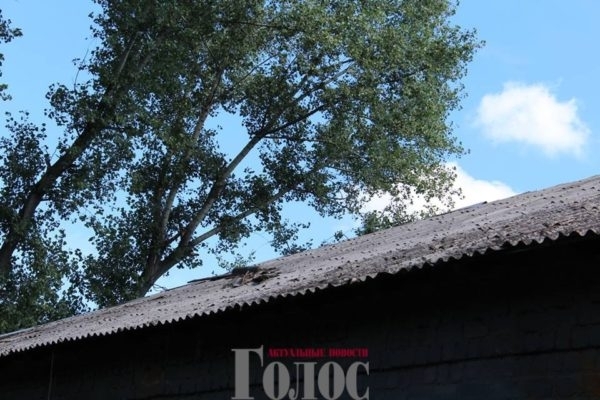 Запорожские защитники живут в кошмарных условиях (ФОТО) Фото № 3 Запорожские защитники живут в кошмарных условиях (ФОТО) Фото № 3