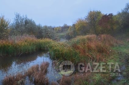 Запорожская осень продолжает поражать своими красками (ФОТО) Фото № 2 Запорожская осень продолжает поражать своими красками (ФОТО) Фото № 2