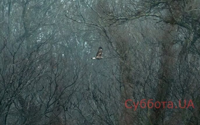 Запорожский фотограф показал новую подборку завораживающих фото Фото № 2 Запорожский фотограф показал новую подборку завораживающих фото Фото № 2