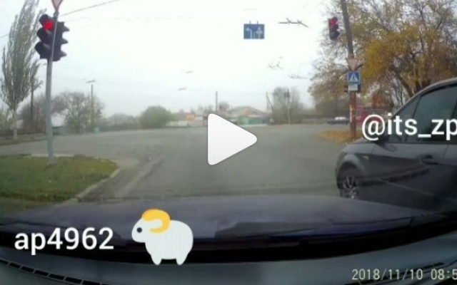 На дороге Запорожья заметили На дороге Запорожья заметили