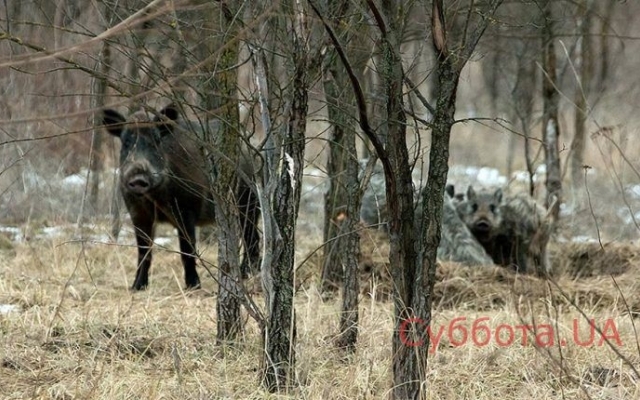 Запорожский фотограф показал новую подборку завораживающих фото Фото № 4 Запорожский фотограф показал новую подборку завораживающих фото Фото № 4