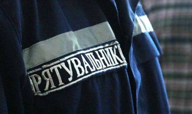 В Запорожье спасали кошку, которая провалилась в шахту Фото № 0 В Запорожье спасали кошку, которая провалилась в шахту Фото № 0