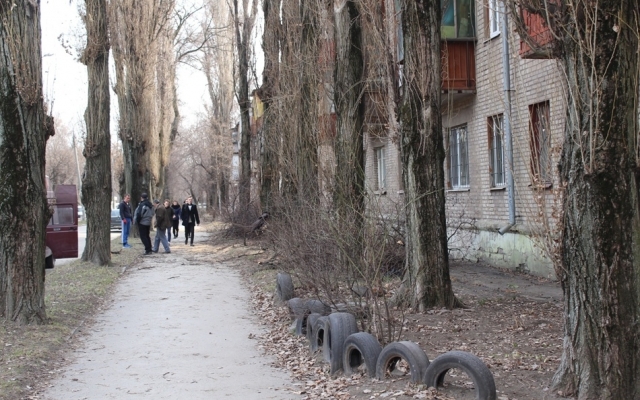 В Заводском районе пилят деревья (ФОТО) Фото № 3 В Заводском районе пилят деревья (ФОТО) Фото № 3