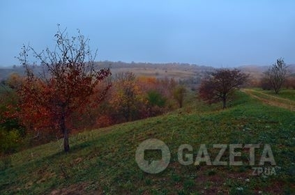 Запорожская осень продолжает поражать своими красками (ФОТО) Фото № 3 Запорожская осень продолжает поражать своими красками (ФОТО) Фото № 3