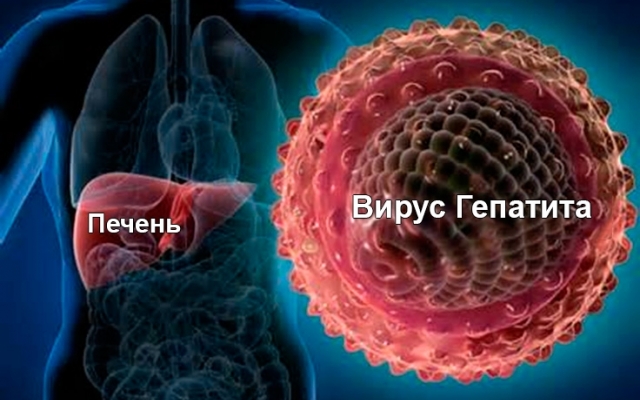 Запорожцев продолжает Запорожцев продолжает