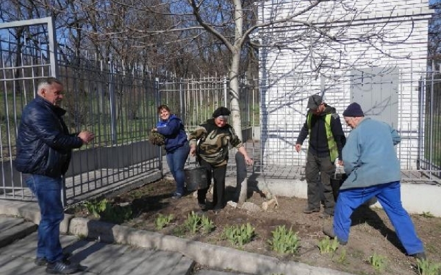В запорожских парках появляются новые клумбы и цветы Фото № 6 В запорожских парках появляются новые клумбы и цветы Фото № 6