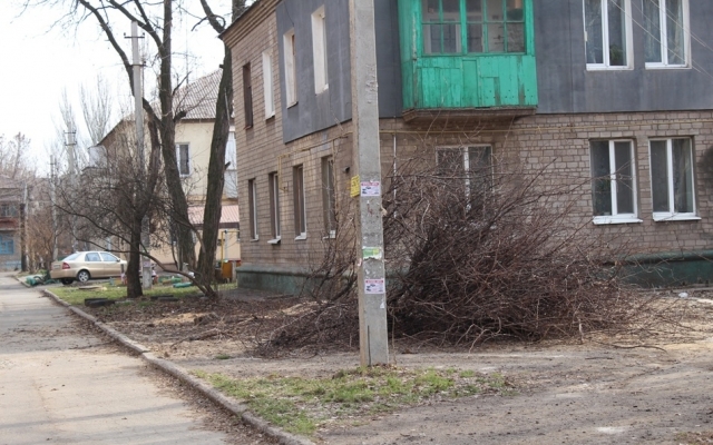 В Заводском районе пилят деревья (ФОТО) Фото № 2 В Заводском районе пилят деревья (ФОТО) Фото № 2
