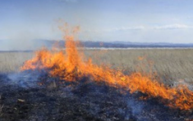 За прошедшие сутки пожарные потушили 14 пожаров Фото № 0 За прошедшие сутки пожарные потушили 14 пожаров Фото № 0