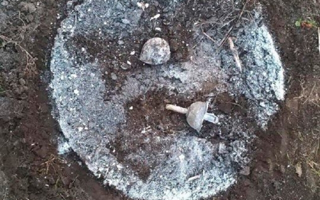 Запорожцу передали привет из «девяностых» Фото № 2 Запорожцу передали привет из «девяностых» Фото № 2