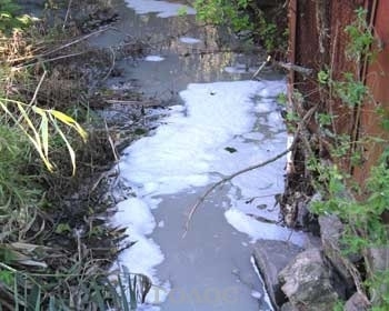 Запорожцы ужаснулись жуткому виду притока Молочной Фото № 0 Запорожцы ужаснулись жуткому виду притока Молочной Фото № 0