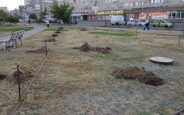 В Запорожской области появится японский парк (ФОТО) Фото № 5 В Запорожской области появится японский парк (ФОТО) Фото № 5