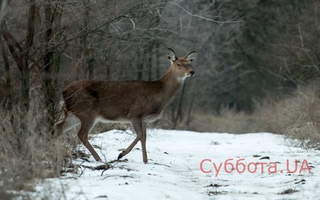 Запорожский фотограф показал новую подборку завораживающих фото Фото № 13 Запорожский фотограф показал новую подборку завораживающих фото Фото № 13
