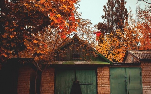 Очаровательный осенний Бердянск показала фотохудожница (ФОТО) Фото № 1 Очаровательный осенний Бердянск показала фотохудожница (ФОТО) Фото № 1