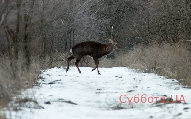 Запорожский фотограф показал новую подборку завораживающих фото Фото № 7 Запорожский фотограф показал новую подборку завораживающих фото Фото № 7