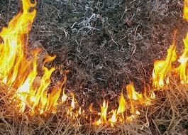 Трагический случай: Во время пожара мужчина пытался потушить огонь и сгорел Фото № 0 Трагический случай: Во время пожара мужчина пытался потушить огонь и сгорел Фото № 0